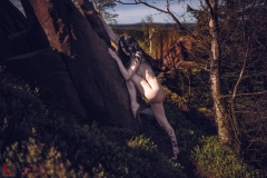 LR_13660