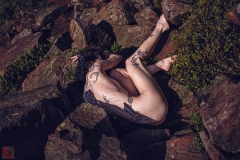 LR_13691
