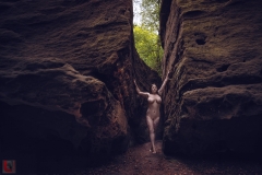LR_13837