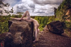 LR_13976
