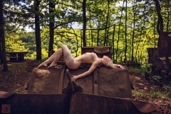 LR_14003