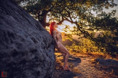 LR_15984