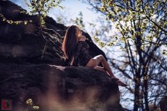 LR_17223