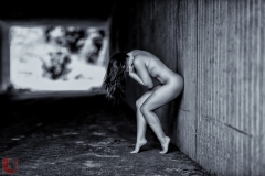 LR_17906_1