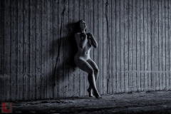 LR_17911