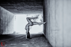 LR_17921