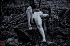 LR_20738