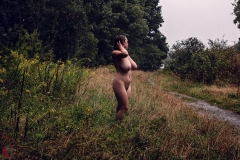 LR_26115