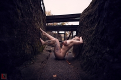 LR_26836