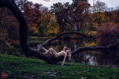 LR_27142