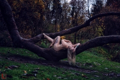 LR_27146