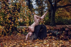 LR_27155