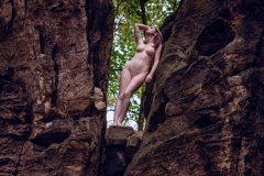 LR_36501