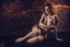 LR_11788