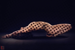 LR001583