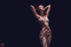 LR_07044