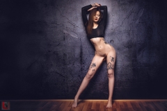 LR_07378