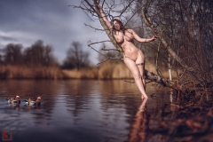 LR_08095