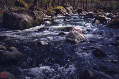 LR_08459
