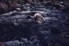 LR_08461