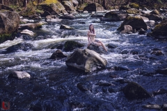 LR_08462