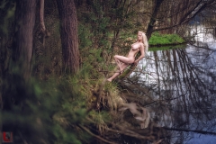 LR_08580