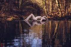 LR_12837