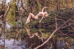 LR_00523