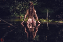 LR_02347