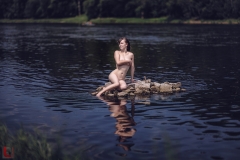 LR_02460