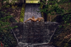 LR_02660