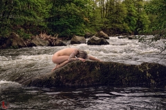 LR_02676