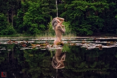 LR_03036