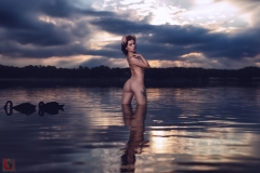 LR_07881_1