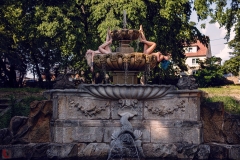 LR_29411
