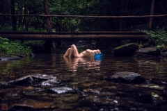 LR_29900